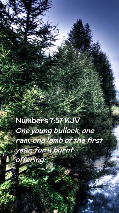 Picture 02 - Numbers 7:57 KJV Mobile Phone Wallpaper - One young bullock, one ram, one lamb of the first - Mobile Bible Verse Wallpaper