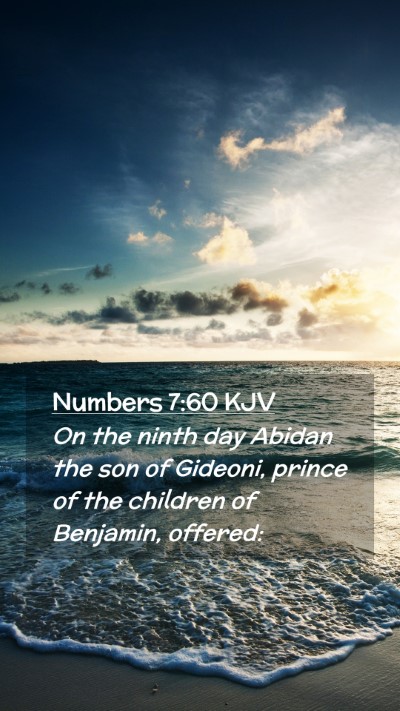 Picture 02 - Numbers 7:60 KJV Mobile Phone Wallpaper - On the ninth day Abidan the son of Gideoni, - Mobile Bible Verse Wallpaper
