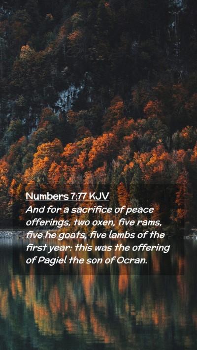 Picture 02 - Numbers 7:77 KJV Mobile Phone Wallpaper - And for a sacrifice of peace offerings, two oxen, - Mobile Bible Verse Wallpaper
