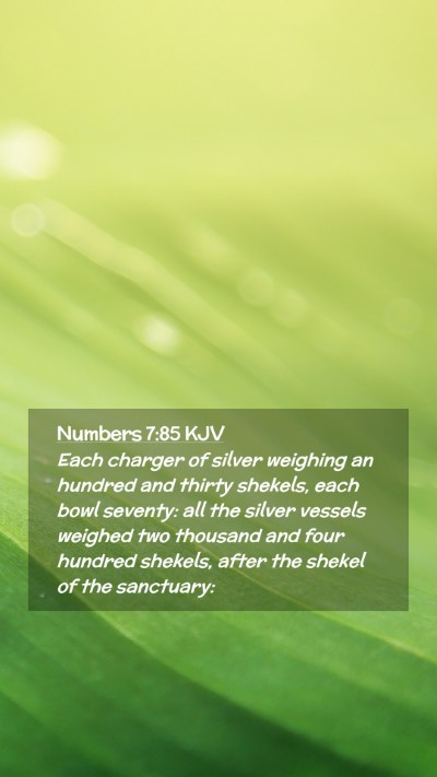 Picture 02 - Numbers 7:85 KJV Mobile Phone Wallpaper - Each charger of silver weighing an hundred and - Mobile Bible Verse Wallpaper