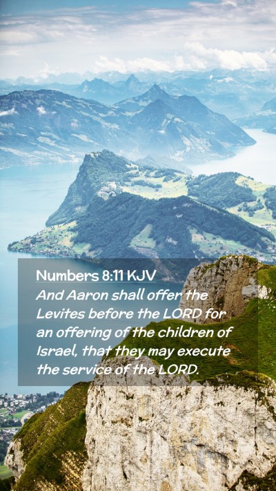 Picture 02 - Numbers 8:11 KJV Mobile Phone Wallpaper - And Aaron shall offer the Levites before the LORD - Mobile Bible Verse Wallpaper