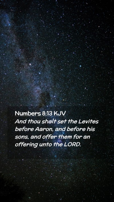 Picture 02 - Numbers 8:13 KJV Mobile Phone Wallpaper - And thou shalt set the Levites before Aaron, and - Mobile Bible Verse Wallpaper