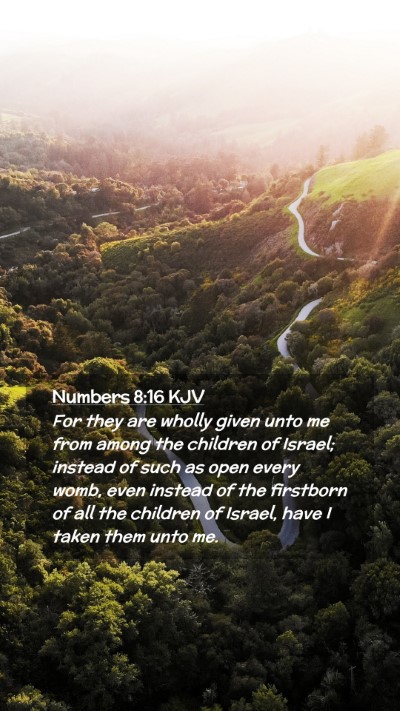 Picture 02 - Numbers 8:16 KJV Mobile Phone Wallpaper - For they are wholly given unto me from among the - Mobile Bible Verse Wallpaper