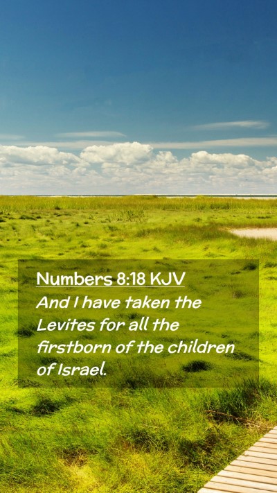 Picture 02 - Numbers 8:18 KJV Mobile Phone Wallpaper - And I have taken the Levites for all the - Mobile Bible Verse Wallpaper