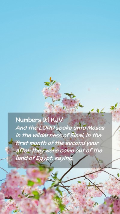 Picture 02 - Numbers 9:1 KJV Mobile Phone Wallpaper - And the LORD spake unto Moses in the wilderness - Mobile Bible Verse Wallpaper