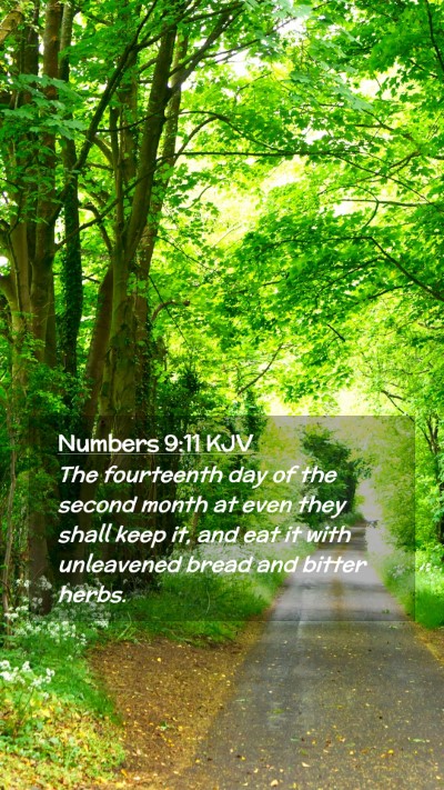 Picture 02 - Numbers 9:11 KJV Mobile Phone Wallpaper - The fourteenth day of the second month at even - Mobile Bible Verse Wallpaper