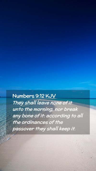 Picture 02 - Numbers 9:12 KJV Mobile Phone Wallpaper - They shall leave none of it unto the morning, nor - Mobile Bible Verse Wallpaper