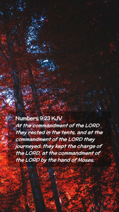 Picture 02 - Numbers 9:23 KJV Mobile Phone Wallpaper - At the commandment of the LORD they rested in the - Mobile Bible Verse Wallpaper