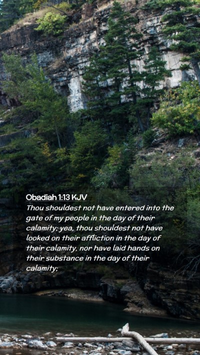 Picture 02 - Obadiah 1:13 KJV Mobile Phone Wallpaper - Thou shouldest not have entered into the gate of - Mobile Bible Verse Wallpaper