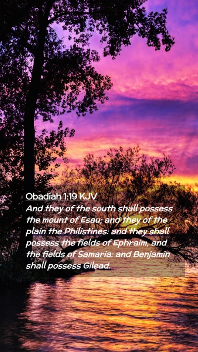 Picture 02 - Obadiah 1:19 KJV Mobile Phone Wallpaper - And they of the south shall possess the mount of - Mobile Bible Verse Wallpaper