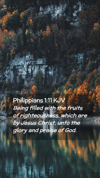 Picture 02 - Philippians 1:11 KJV Mobile Phone Wallpaper - Being filled with the fruits of righteousness, - Mobile Bible Verse Wallpaper