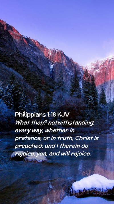 Picture 02 - Philippians 1:18 KJV Mobile Phone Wallpaper - What then? notwithstanding, every way, whether in - Mobile Bible Verse Wallpaper