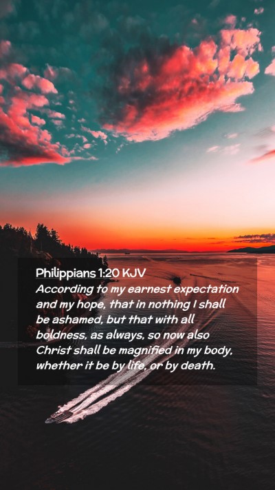 Picture 02 - Philippians 1:20 KJV Mobile Phone Wallpaper - According to my earnest expectation and my hope, - Mobile Bible Verse Wallpaper