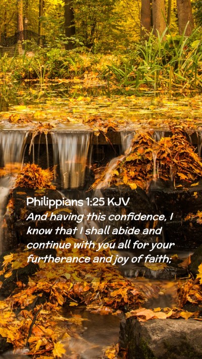 Picture 02 - Philippians 1:25 KJV Mobile Phone Wallpaper - And having this confidence, I know that I shall - Mobile Bible Verse Wallpaper