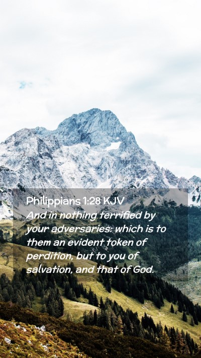 Picture 02 - Philippians 1:28 KJV Mobile Phone Wallpaper - And in nothing terrified by your adversaries: - Mobile Bible Verse Wallpaper