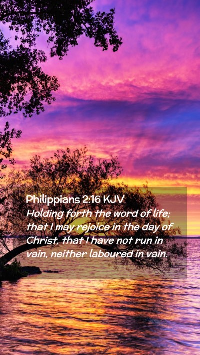 Picture 02 - Philippians 2:16 KJV Mobile Phone Wallpaper - Holding forth the word of life; that I may - Mobile Bible Verse Wallpaper