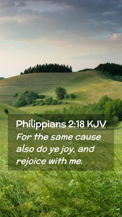Picture 02 - Philippians 2:18 KJV Mobile Phone Wallpaper - For the same cause also do ye joy, and rejoice - Mobile Bible Verse Wallpaper