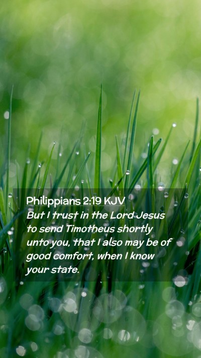 Picture 02 - Philippians 2:19 KJV Mobile Phone Wallpaper - But I trust in the Lord Jesus to send Timotheus - Mobile Bible Verse Wallpaper