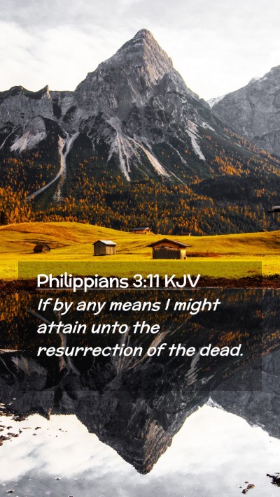 Picture 02 - Philippians 3:11 KJV Mobile Phone Wallpaper - If by any means I might attain unto the - Mobile Bible Verse Wallpaper