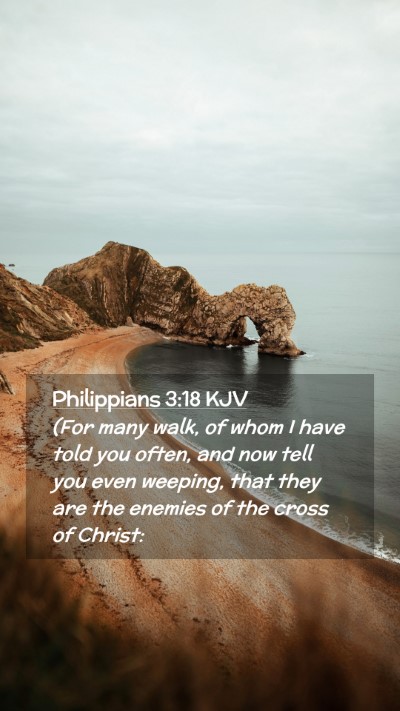 Picture 02 - Philippians 3:18 KJV Mobile Phone Wallpaper - (For many walk, of whom I have told you often, - Mobile Bible Verse Wallpaper