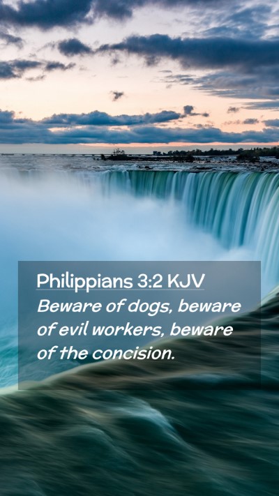 Picture 02 - Philippians 3:2 KJV Mobile Phone Wallpaper - Beware of dogs, beware of evil workers, beware of - Mobile Bible Verse Wallpaper