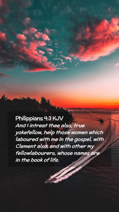 Picture 02 - Philippians 4:3 KJV Mobile Phone Wallpaper - And I intreat thee also, true yokefellow, help - Mobile Bible Verse Wallpaper