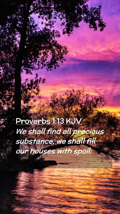 Picture 02 - Proverbs 1:13 KJV Mobile Phone Wallpaper - We shall find all precious substance, we shall - Mobile Bible Verse Wallpaper