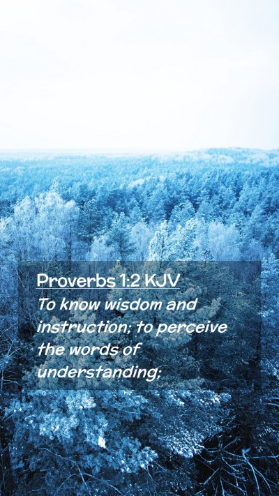 Picture 02 - Proverbs 1:2 KJV Mobile Phone Wallpaper - To know wisdom and instruction; to perceive the - Mobile Bible Verse Wallpaper