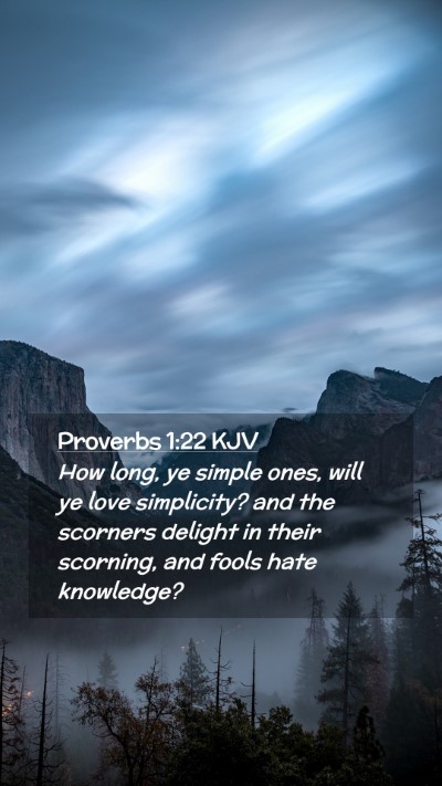 Picture 02 - Proverbs 1:22 KJV Mobile Phone Wallpaper - How long, ye simple ones, will ye love - Mobile Bible Verse Wallpaper