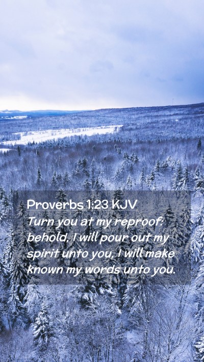 Picture 02 - Proverbs 1:23 KJV Mobile Phone Wallpaper - Turn you at my reproof: behold, I will pour out - Mobile Bible Verse Wallpaper