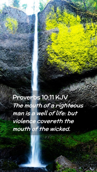 Picture 02 - Proverbs 10:11 KJV Mobile Phone Wallpaper - The mouth of a righteous man is a well of life: - Mobile Bible Verse Wallpaper