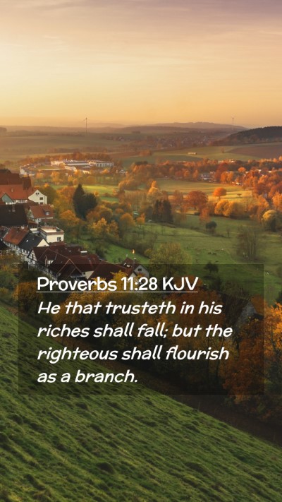 Picture 02 - Proverbs 11:28 KJV Mobile Phone Wallpaper - He that trusteth in his riches shall fall; but - Mobile Bible Verse Wallpaper
