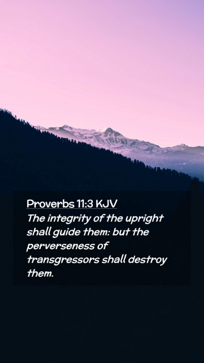 Picture 02 - Proverbs 11:3 KJV Mobile Phone Wallpaper - The integrity of the upright shall guide them: - Mobile Bible Verse Wallpaper