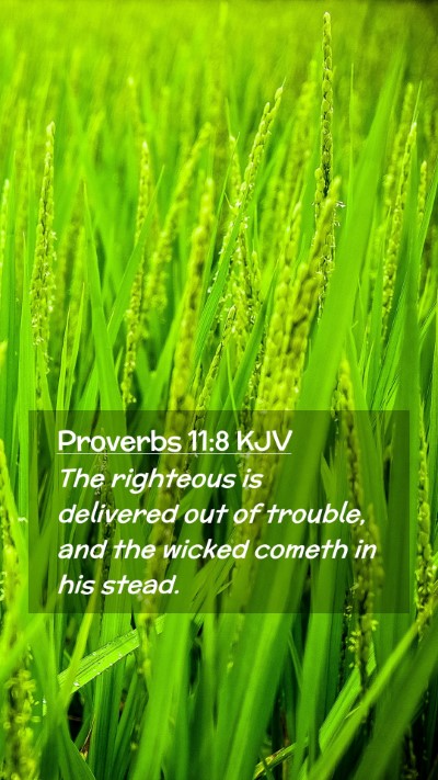 Picture 02 - Proverbs 11:8 KJV Mobile Phone Wallpaper - The righteous is delivered out of trouble, and - Mobile Bible Verse Wallpaper