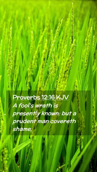 Picture 02 - Proverbs 12:16 KJV Mobile Phone Wallpaper - A fool's wrath is presently known: but a prudent - Mobile Bible Verse Wallpaper