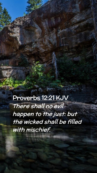 Picture 02 - Proverbs 12:21 KJV Mobile Phone Wallpaper - There shall no evil happen to the just: but the - Mobile Bible Verse Wallpaper