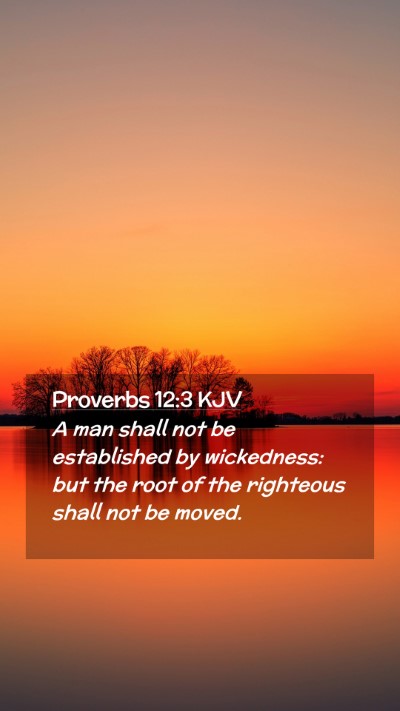 Picture 02 - Proverbs 12:3 KJV Mobile Phone Wallpaper - A man shall not be established by wickedness: but - Mobile Bible Verse Wallpaper