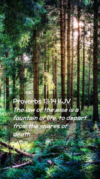 Picture 02 - Proverbs 13:14 KJV Mobile Phone Wallpaper - The law of the wise is a fountain of life, to - Mobile Bible Verse Wallpaper