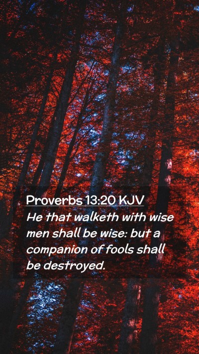 Picture 02 - Proverbs 13:20 KJV Mobile Phone Wallpaper - He that walketh with wise men shall be wise: but - Mobile Bible Verse Wallpaper
