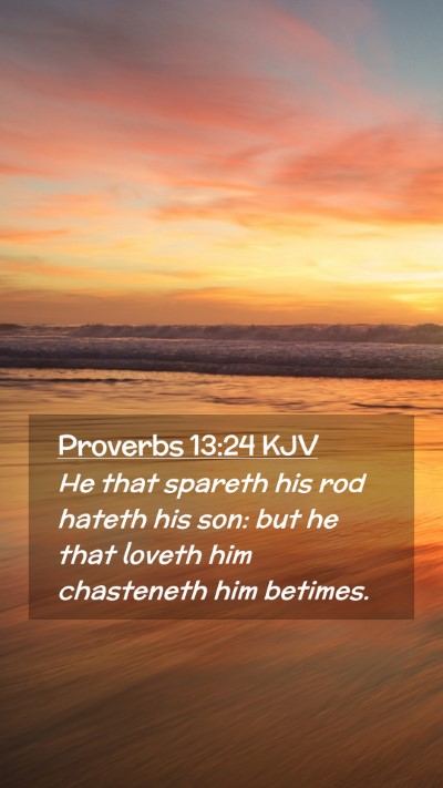 Picture 02 - Proverbs 13:24 KJV Mobile Phone Wallpaper - He that spareth his rod hateth his son: but he - Mobile Bible Verse Wallpaper