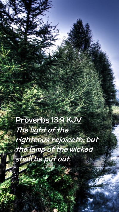 Picture 02 - Proverbs 13:9 KJV Mobile Phone Wallpaper - The light of the righteous rejoiceth: but the - Mobile Bible Verse Wallpaper