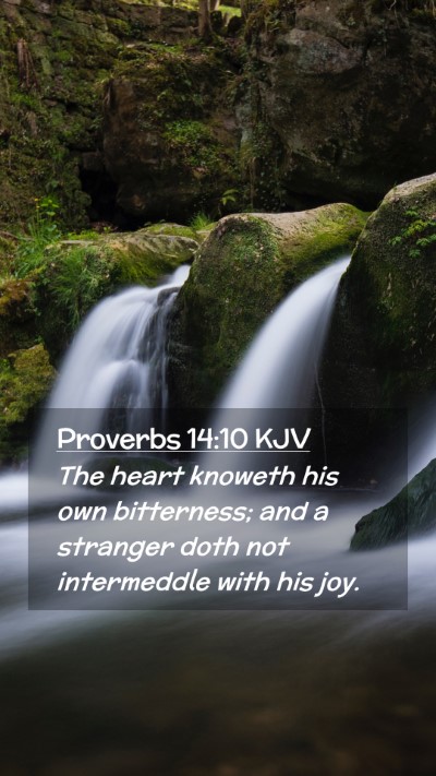 Picture 02 - Proverbs 14:10 KJV Mobile Phone Wallpaper - The heart knoweth his own bitterness; and a - Mobile Bible Verse Wallpaper