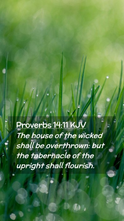 Picture 02 - Proverbs 14:11 KJV Mobile Phone Wallpaper - The house of the wicked shall be overthrown: but - Mobile Bible Verse Wallpaper