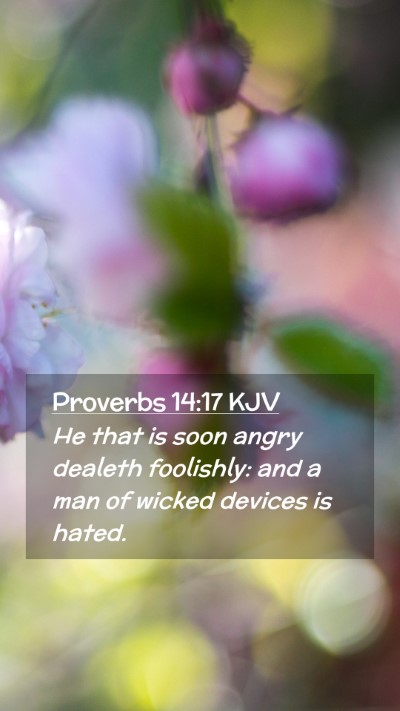 Picture 02 - Proverbs 14:17 KJV Mobile Phone Wallpaper - He that is soon angry dealeth foolishly: and a - Mobile Bible Verse Wallpaper