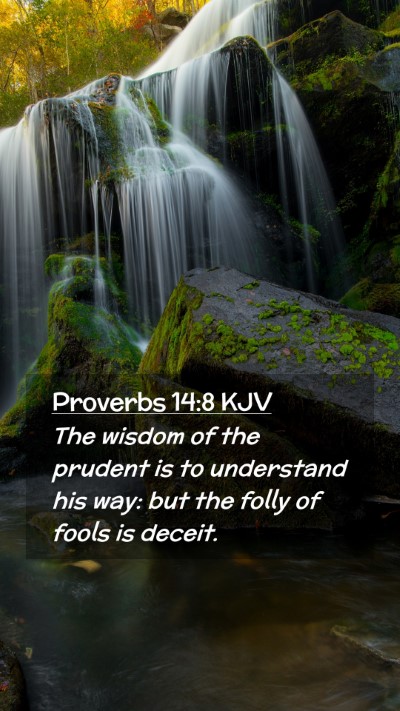 Picture 02 - Proverbs 14:8 KJV Mobile Phone Wallpaper - The wisdom of the prudent is to understand his - Mobile Bible Verse Wallpaper