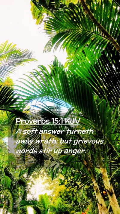 Picture 02 - Proverbs 15:1 KJV Mobile Phone Wallpaper - A soft answer turneth away wrath: but grievous - Mobile Bible Verse Wallpaper