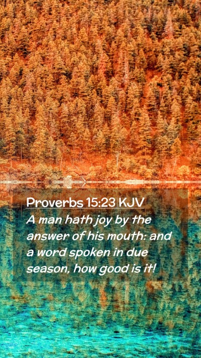 Picture 02 - Proverbs 15:23 KJV Mobile Phone Wallpaper - A man hath joy by the answer of his mouth: and a - Mobile Bible Verse Wallpaper