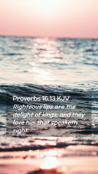 Picture 02 - Proverbs 16:13 KJV Mobile Phone Wallpaper - Righteous lips are the delight of kings; and they - Mobile Bible Verse Wallpaper