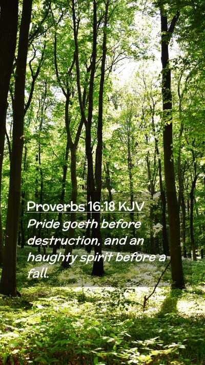 Picture 02 - Proverbs 16:18 KJV Mobile Phone Wallpaper - Pride goeth before destruction, and an haughty - Mobile Bible Verse Wallpaper