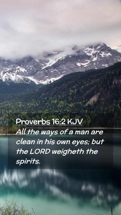 Picture 02 - Proverbs 16:2 KJV Mobile Phone Wallpaper - All the ways of a man are clean in his own eyes; - Mobile Bible Verse Wallpaper